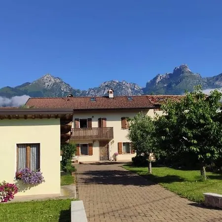 Glicine Delle Dolomiti Santa Giustina (Belluno)
