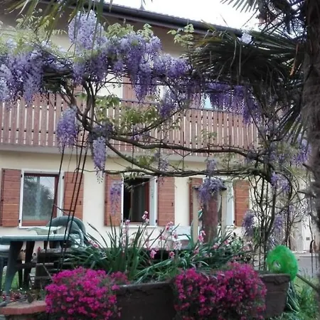 Glicine Delle Dolomiti Santa Giustina (Belluno)