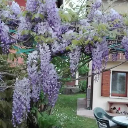 Glicine Delle Dolomiti בית הארחה